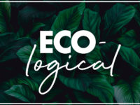 eco logical eco logical
