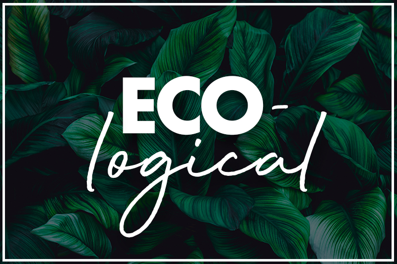 Eco-logical – the green products that make sense for your business!