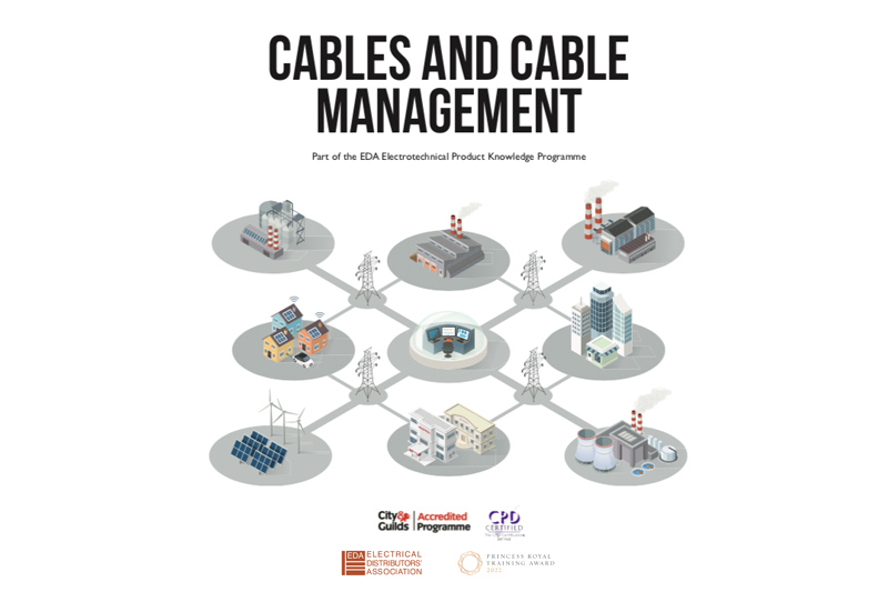 EDA Insight: Cables and Cable Management quiz